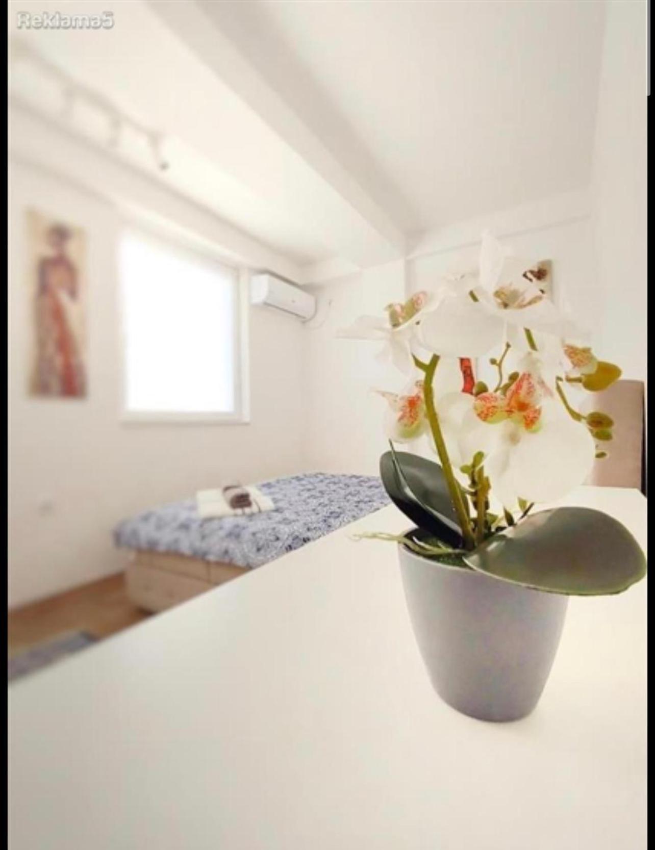 Luxury Skopje Apartments Екстер'єр фото